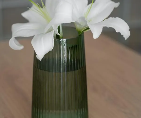 Hanza Tower 22 White Jacussi & Sauna & Pool & Daire